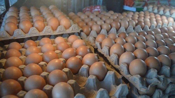 Strategi menjual telur ayam organik di pasar tradisional