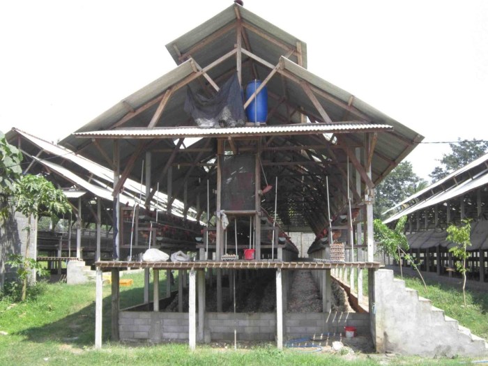 Membuat kandang ayam dari bambu dan kayu bekas