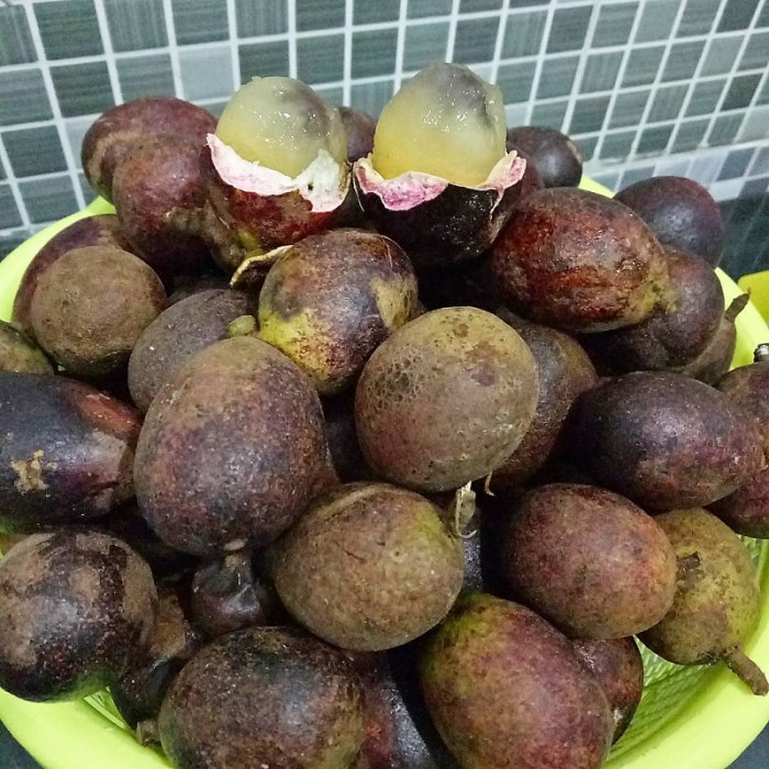 Mengenali Buah Matoa Matang dan Mentah