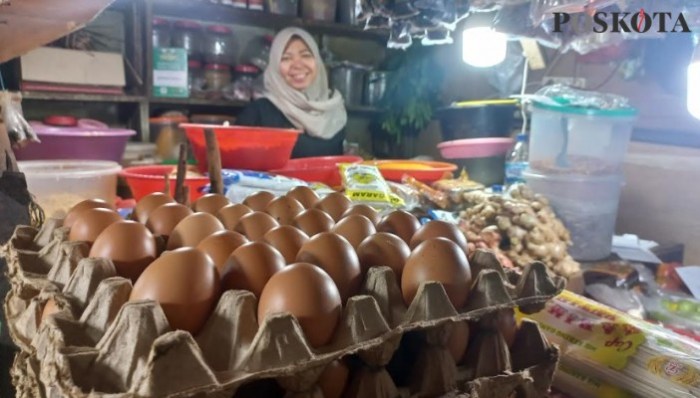 Strategi menjual telur ayam organik di pasar tradisional